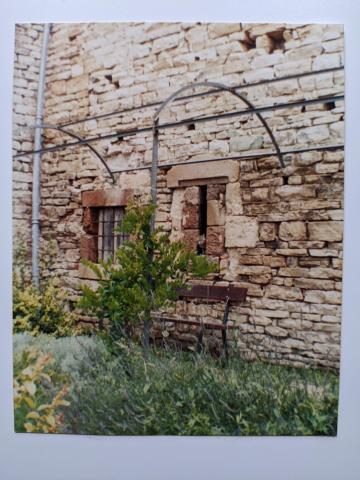 photo of a cat sitting in a medieval window of a battlement