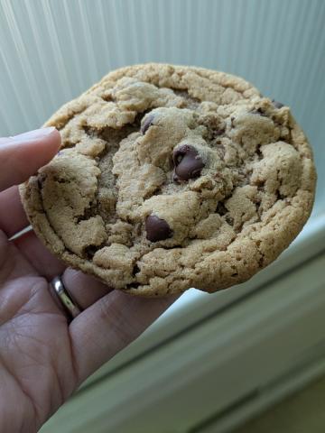 chocolate chip cookie