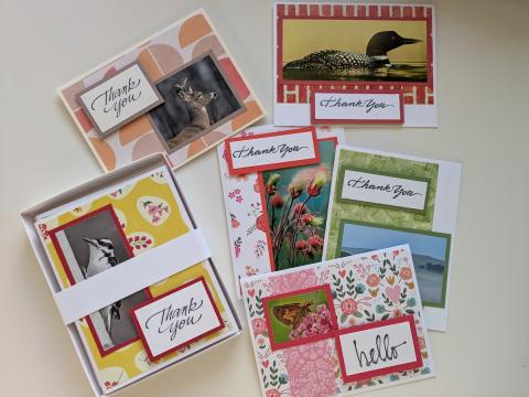 simple nature cards arranged on a table
