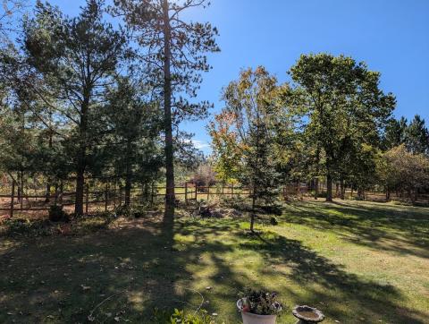 a forested area destroyed by a strong storm